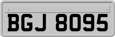 BGJ8095