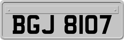 BGJ8107