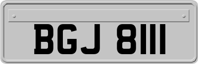 BGJ8111