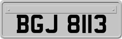 BGJ8113