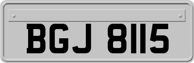 BGJ8115