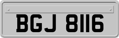 BGJ8116