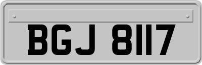 BGJ8117