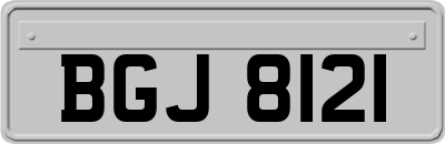 BGJ8121