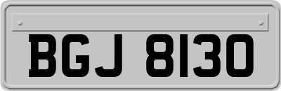 BGJ8130