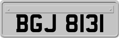 BGJ8131