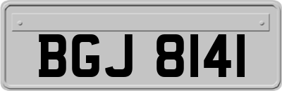 BGJ8141