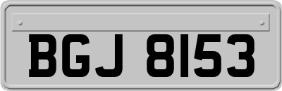 BGJ8153