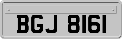 BGJ8161