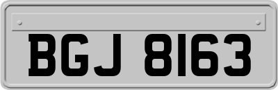 BGJ8163