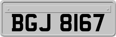 BGJ8167