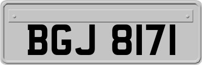 BGJ8171