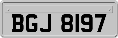 BGJ8197