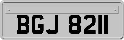 BGJ8211