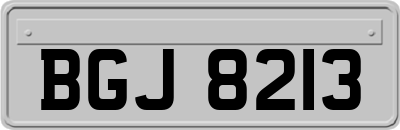 BGJ8213