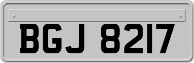 BGJ8217