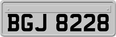 BGJ8228