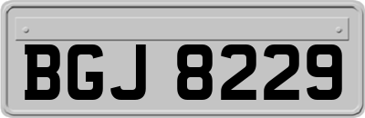 BGJ8229