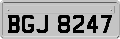 BGJ8247