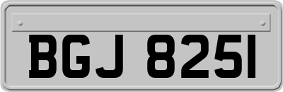 BGJ8251
