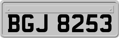 BGJ8253