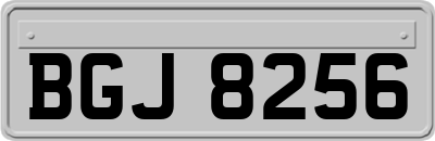 BGJ8256