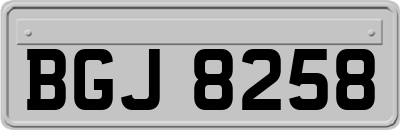 BGJ8258