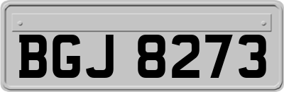 BGJ8273