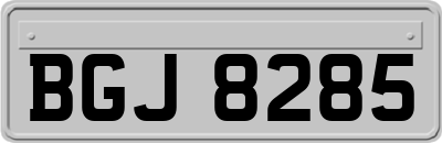 BGJ8285