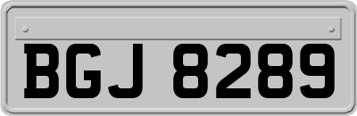 BGJ8289