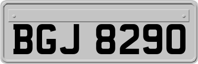 BGJ8290