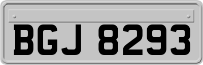BGJ8293