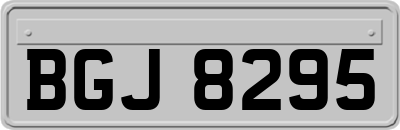 BGJ8295