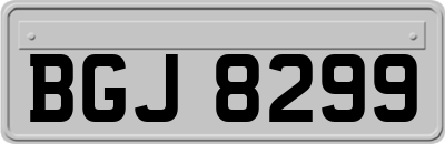 BGJ8299