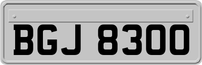 BGJ8300