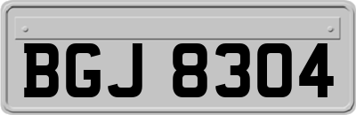 BGJ8304