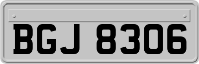 BGJ8306