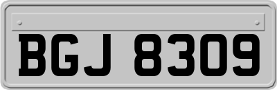 BGJ8309