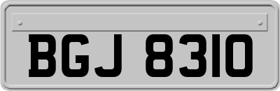 BGJ8310