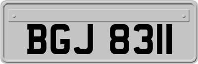 BGJ8311