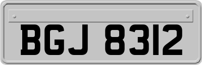 BGJ8312