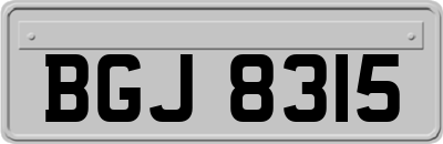 BGJ8315