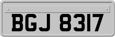BGJ8317