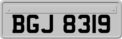 BGJ8319