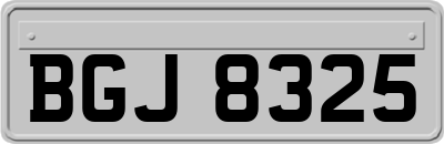BGJ8325
