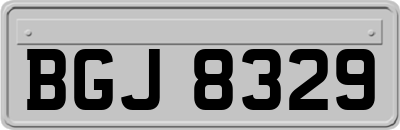 BGJ8329