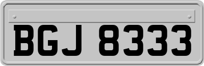 BGJ8333