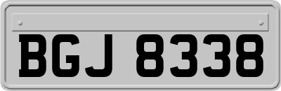 BGJ8338