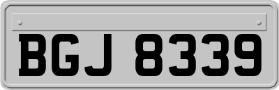 BGJ8339
