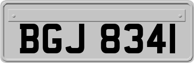 BGJ8341
